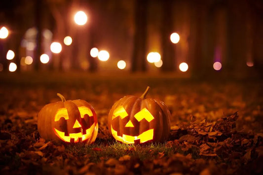 Holloween spooky collection